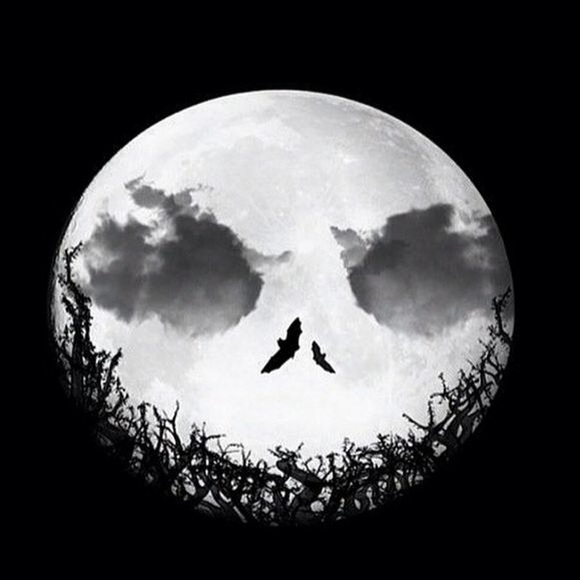 Meet your Posher, Gj - Picture 1 of 1